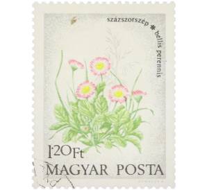 Почтовая марка 1.2 форинта 1973 года Венгрия «Полевые цветы» — Фото №1