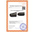 Фракция западно-литовской гривны (Артикул: K12-91092)