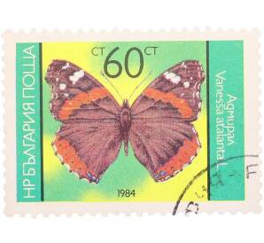 Почтовая марка 60 стотинок 1984 года Болгария «Бабочки — Адмирал (Vanessa atalanta L.)» — Фото №1