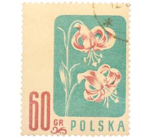 Почтовая марка 60 грошей 1957 года Польша «Цветы — Лилия кудреватая (Lilium martagon L.)» — Фото №1
