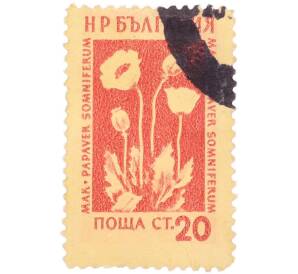 Почтовая марка 20 стотинок 1957 года Болгария «Лекарственные растения — Мак снотворный (Papaver somniferum L.)» — Фото №1