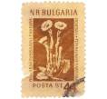 Почтовая марка 44 стотинки 1957 года Болгария «Лекарственные растения — Мать-и-мачеха обыкновенная (Tussilago farfara)» (Артикул: K8-2479) — Фото №1