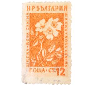 Почтовая марка 12 стотинок 1957 года Болгария «Лекарственные растения — Шиповник собачий (Rosa canina)» — Фото №1