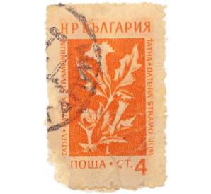 Почтовая марка 4 стотинки 1957 года Болгария «Лекарственные растения — Дурман обыкновенный (Datura stramonium)» — Фото №1