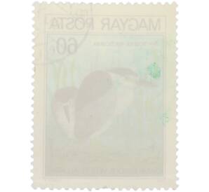 Почтовая марка 60 филлеров 1980 года Венгрия «Nycticorax nycticorax — Кваква обыкновенная» — Фото №2