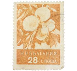 Почтовая марка 28 стотинок 1956 года Болгария «Фрукты — Персики» — Фото №1