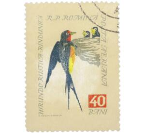 Почтовая марка 40 бани 1959 года Румыния «Hirundo rustica rindunica — Деревенская ласточка» — Фото №1