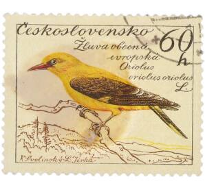 Почтовая марка 60 геллеров 1954 года Чехословакия «Oriolus oriolus — Обыкновенная иволга» — Фото №1