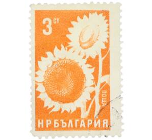 Почтовая марка 3 стотинки 1965 года Болгария «Сельскохозяйственные культуры — Подсолнечник» — Фото №1