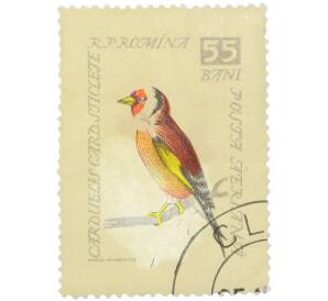 Почтовая марка 55 бани 1959 года Румыния «Carduelis carduelis sticlete — Черноголовый щегол» — Фото №1