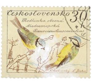 Почтовая марка 30 геллеров 1954 года Чехословакия «Parus caeruleus caeruleus — Обыкновенная лазоревка» — Фото №1