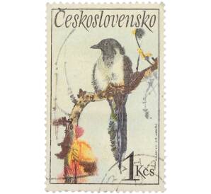 Почтовая марка 1 крона 1972 года Чехословакия «Pica pica — Сорока» — Фото №1
