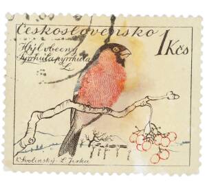 Почтовая марка 1 крона 1954 года Чехословакия «Pyrrhula pyrrhula — Обыкновенный снегирь» — Фото №1
