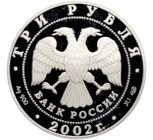 3 рубля 2002 года СПМД «Дионисий» — Фото №2
