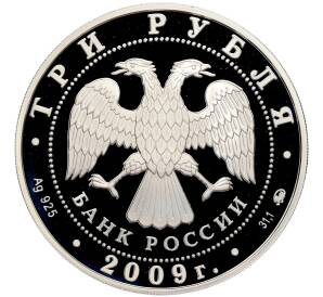3 рубля 2009 года ММД «История денежного обращения России» — Фото №2