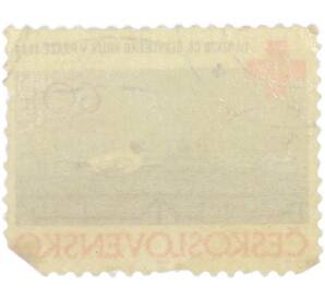 Почтовая марка 60 геллеров 1964 года Чехословакия «IV съезд Чехословацкого Красного Креста в Праге — Чайка над Влтавой» — Фото №2