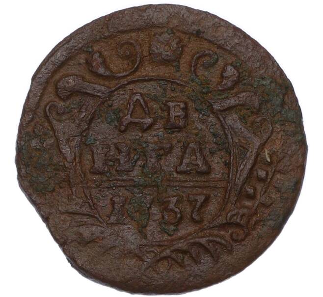 Монета Денга 1737 года (Артикул: M1-68557) — Фото №1