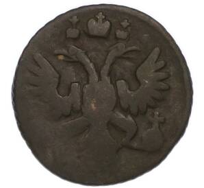 Полушка 1731-1739 года — Фото №2
