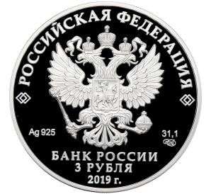3 рубля 2019 года СПМД «Легенды и сказки народов России — Охотник и змея» — Фото №2