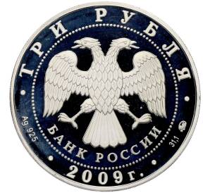 3 рубля 2009 года ММД «400 лет вхождения Калмыкии в состав России» — Фото №2