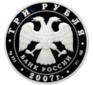 3 рубля 2007 года СПМД «Международный полярный год» — Фото №2