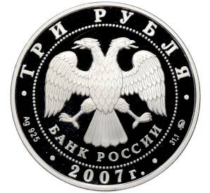 3 рубля 2007 года ММД «Лунный календарь — Год Кабана» — Фото №2