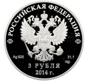 3 рубля 2014 года СПМД «XXII зимние Олимпийские Игры 2014 в Сочи — Конькобежный спорт» — Фото №2
