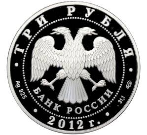 3 рубля 2012 года СПМД «100 лет Военно-воздушным силам» — Фото №2