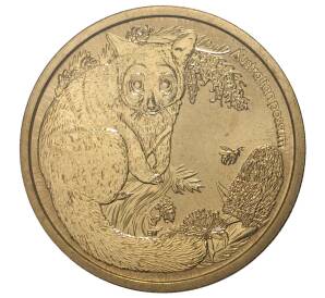 1 доллар 2013 года Австралия «Детеныши диких животных — Поссум» — Фото №1