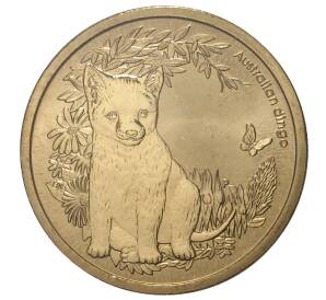 1 доллар 2011 года Австралия «Детеныши диких животных — Динго» — Фото №1