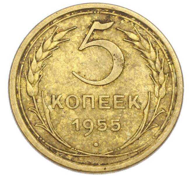 Монета 5 копеек 1955 года (Артикул: K7-4005) — Фото №1
