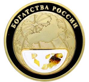 Жетон 2020 года «Богатства России — Янтарь» — Фото №2