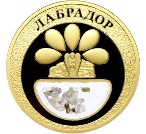 Жетон 2020 года «Богатства России — Лабрадор» — Фото №1