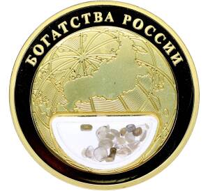Жетон 2020 года «Богатства России — Лабрадор» — Фото №2