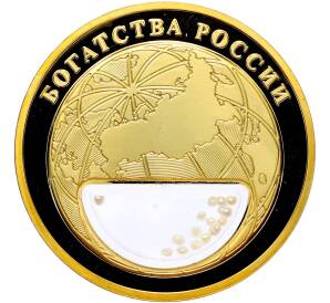 Жетон 2020 года «Богатства России — Жемчуг» — Фото №2