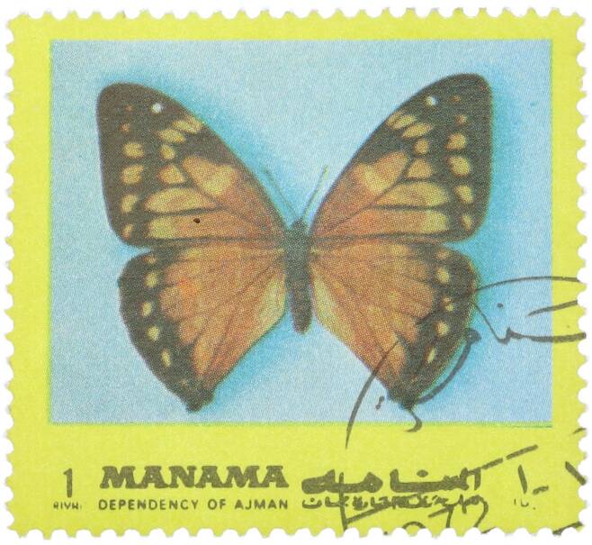 Почтовая марка 1 риал 1972 года Манама «Бабочки — Морфо эгей» (Артикул: K12-92089) — Фото №1