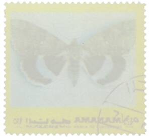 Почтовая марка 1.25 риала 1972 года Манама «Бабочки — Голубая орденская лента» — Фото №2