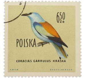 Почтовая марка 6.50 злотых 1960 года Польша «Птицы — Сизоворонка» — Фото №1