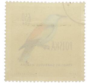 Почтовая марка 6.50 злотых 1960 года Польша «Птицы — Сизоворонка» — Фото №2