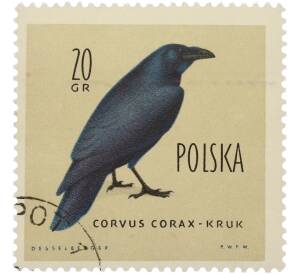 Почтовая марка 20 грошей 1960 года Польша «Птицы — Ворон» — Фото №1