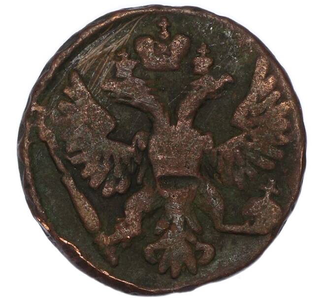 Монета Денга 1748 года (Артикул: T11-52616) — Фото №2