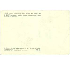 Художественная открытка 1975 года СССР «Иллюстрация к сборнику латышских народных песен Раз мне матушка работу задала»