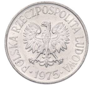 50 грошей 1975 года Польша