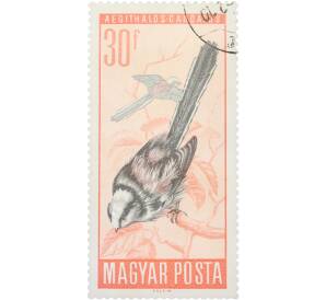 Почтовая марка 30 филлеров 1966 года Венгрия «Птицы — Длиннохвостая синица» — Фото №1