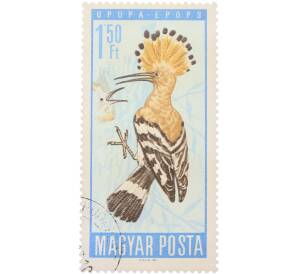 Почтовая марка 1.50 форинта 1966 года Венгрия «Птицы — Удод» — Фото №1