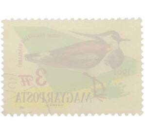 Почтовая марка 3 форинта 1961 года Венгрия «Птицы — Чибис» — Фото №2