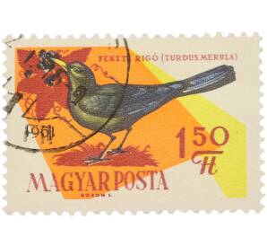 Почтовая марка 1.50 форинта 1961 года Венгрия «Птицы — Черный дрозд» — Фото №1