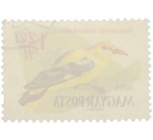 Почтовая марка 1.20 форинта 1961 года Венгрия «Птицы — Иволга» — Фото №2