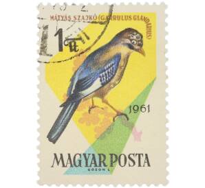 Почтовая марка 1 форинт 1961 года Венгрия «Птицы — Сойка» — Фото №1