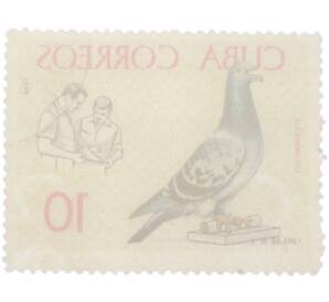 Почтовая марка 10 сентаво 1966 года Куба «Спортивное голубеводство — Почтовый голубь и голубеводы»